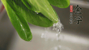 燒一鍋開水，滴一點油，水開后汆燙青菜至斷生即可。