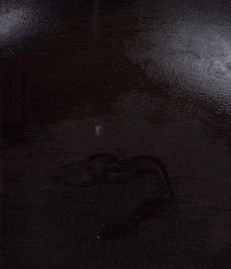 冷鍋熱油，下蒜片爆香，下香腸、玉米筍、蓮藕、西芹爆炒，期間加點水，翻炒1分鐘后加新鮮百合片，翻炒30秒。