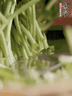 新鮮豌豆苗割下洗凈。